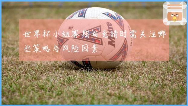 世界杯小组赛期间竞猜时需关注哪些策略与风险因素