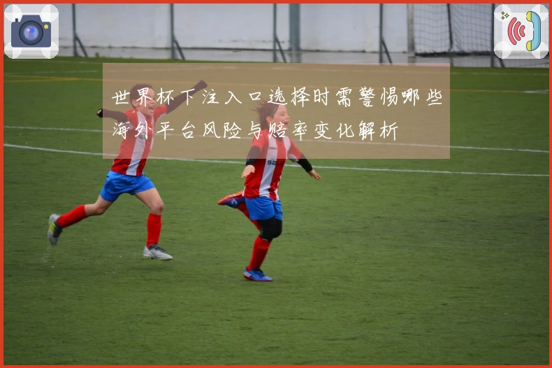 世界杯下注入口选择时需警惕哪些海外平台风险与赔率变化解析