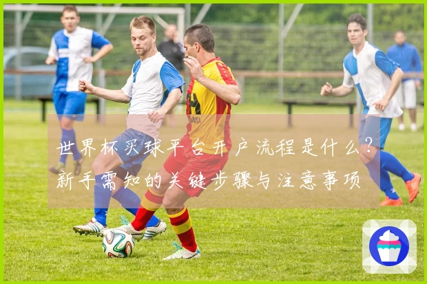 世界杯买球平台开户流程是什么？新手需知的关键步骤与注意事项