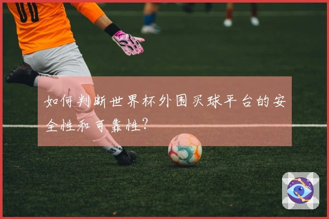 如何判断世界杯外围买球平台的安全性和可靠性？