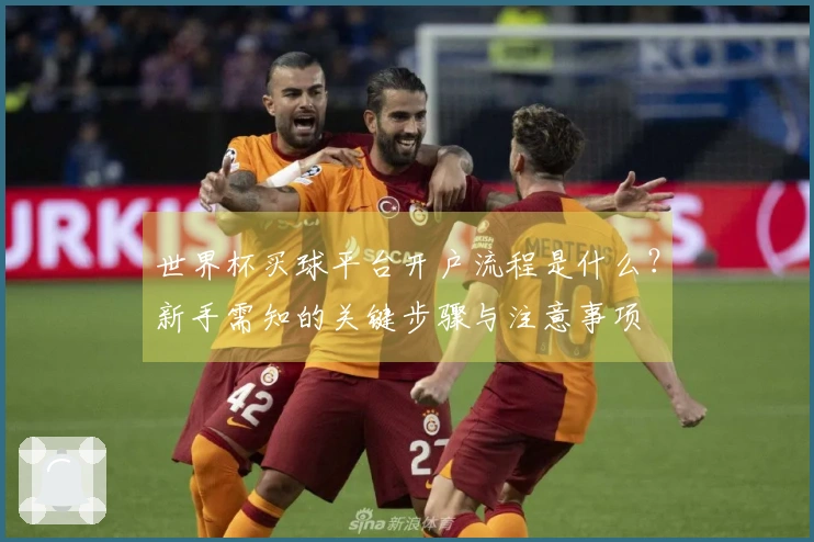 世界杯买球平台开户流程是什么？新手需知的关键步骤与注意事项