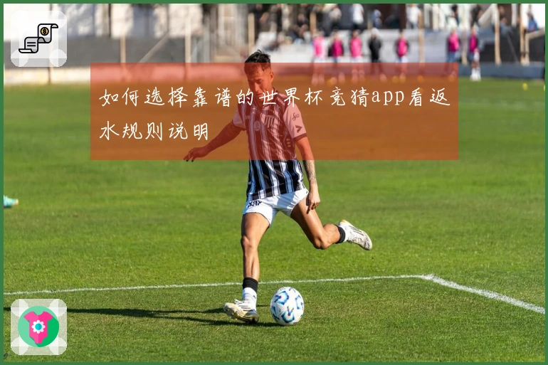 如何选择靠谱的世界杯竞猜app看返水规则说明